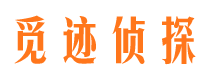 阳新外遇调查取证